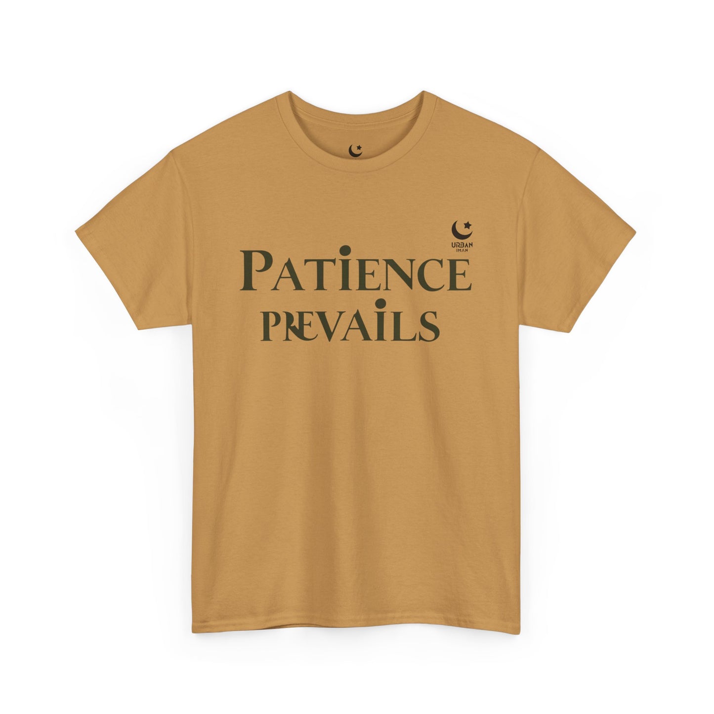 Patience Prevails Unisex Heavy Cotton Tee