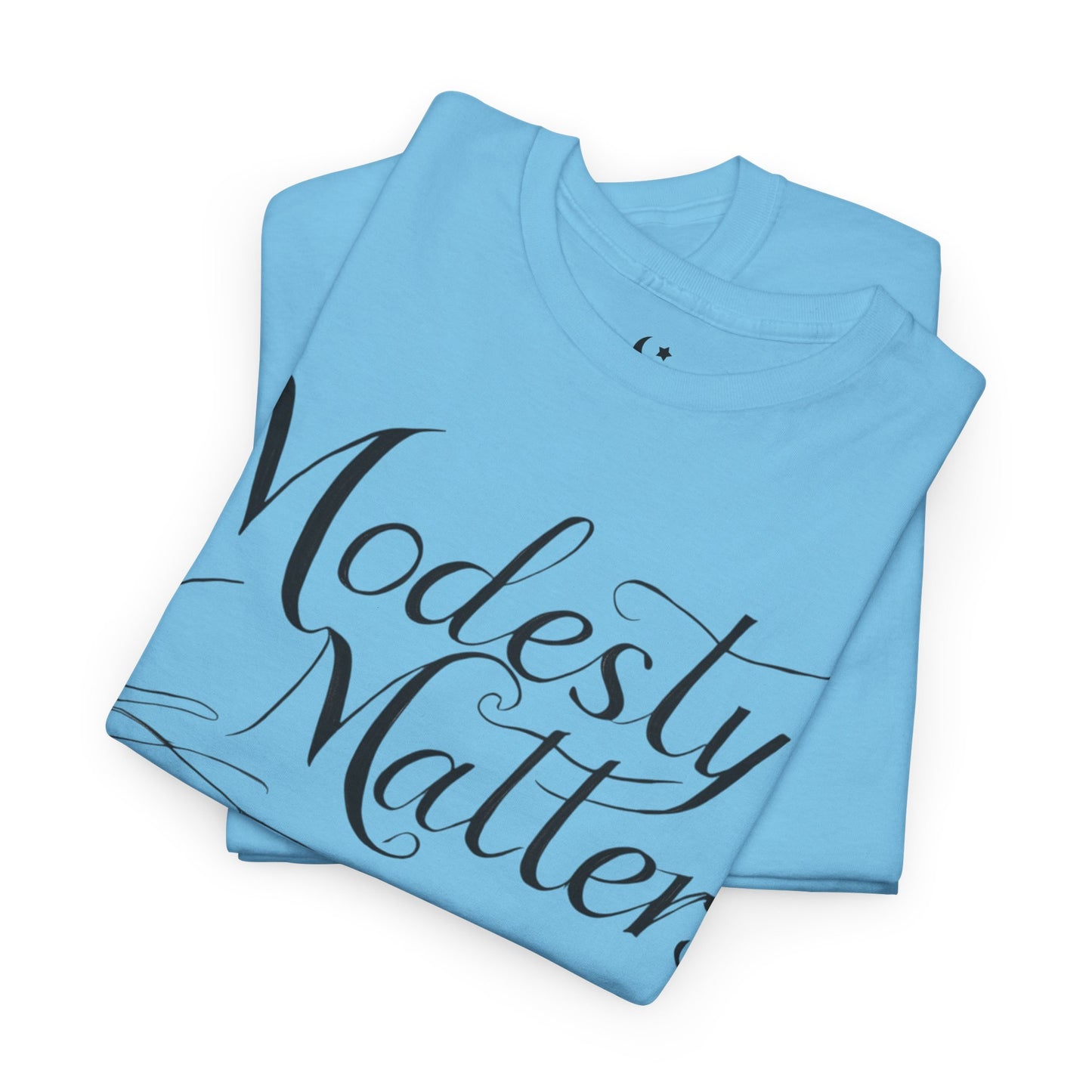 Modesty Unisex Heavy Cotton Tee