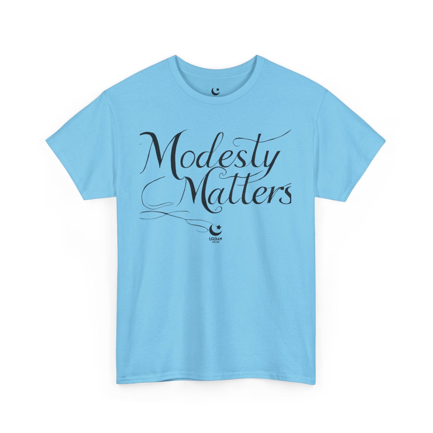 Modesty Unisex Heavy Cotton Tee